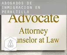 Abogados de inmigración en Peraltilla