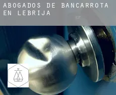Abogados de bancarrota en Lebrija