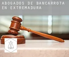 Abogados de bancarrota en  Extremadura