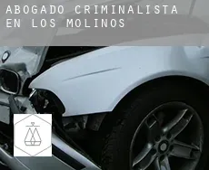 Abogado criminalista en  Los Molinos