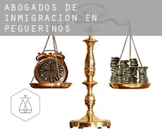 Abogados de inmigración en Peguerinos