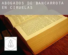 Abogados de bancarrota en Ciruelas