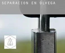 Separación en  Olvega